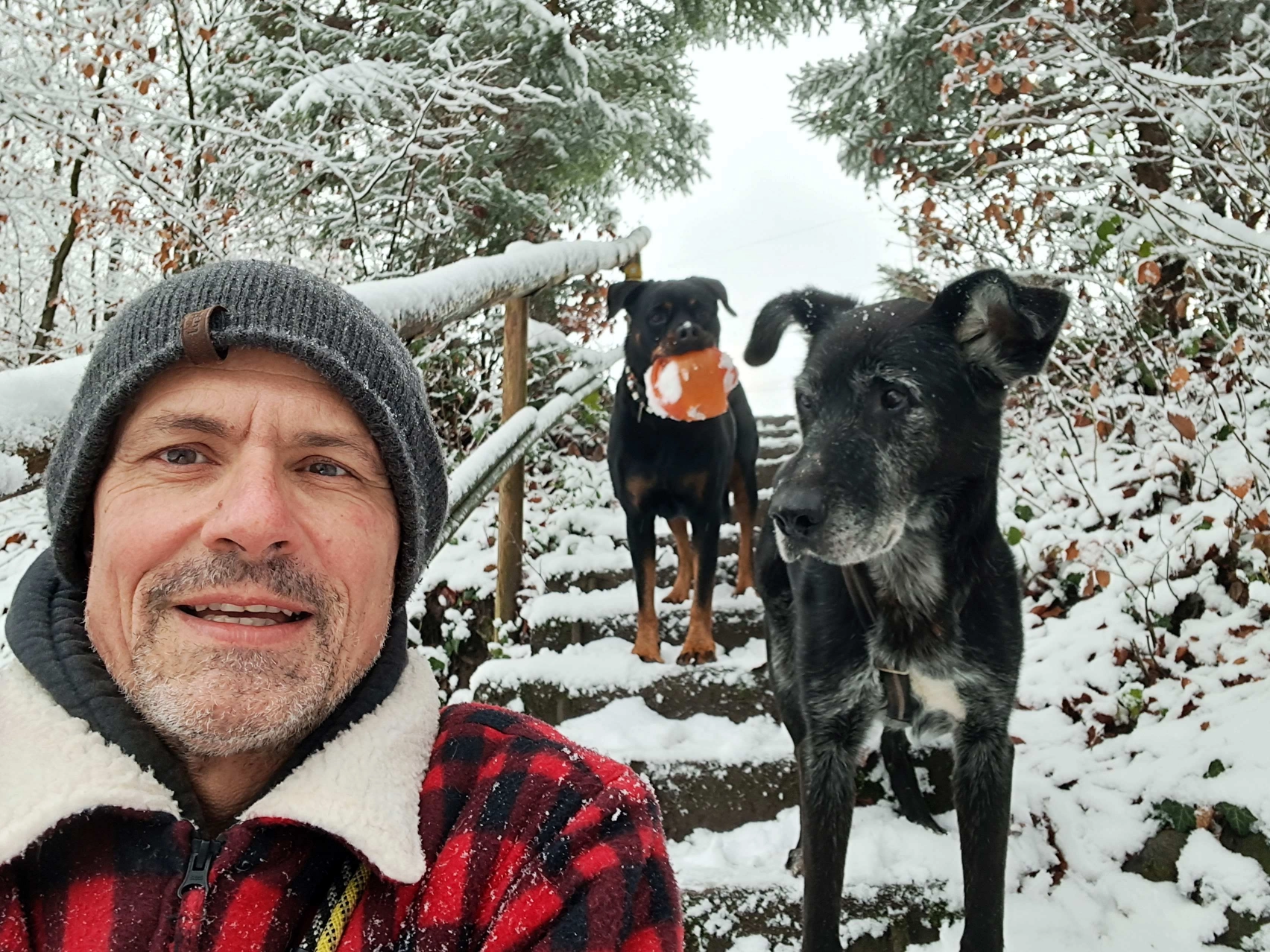 HUndebetreuung Adrian Soliva | Hounddog Dogsitting HUndebetreuung Adrian Soliva | Hounddog Dogsitting